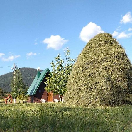 Etno Koliba Nikoleta Villa Žabljak Exteriör bild